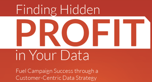 Hidden_Profits_Image